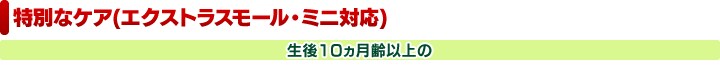 ���ʂȃP�A(�G�N�X�g���X���[���E�~�j�Ή�)