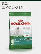 �G�C�W���O12+