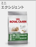 �G�N�V�W�F���g