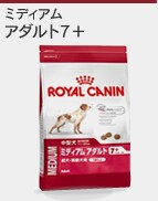 �A�_���g7+