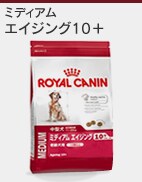 �G�C�W���O10+