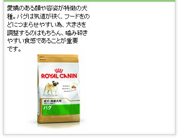 �p�O