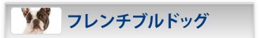 �t�����`�u���h�b�O