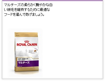 �}���`�[�Y