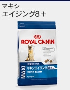 �G�C�W���O8+
