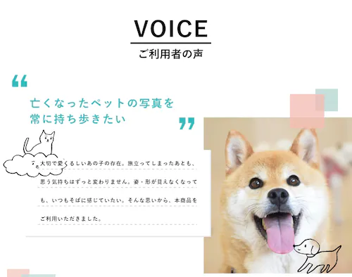 �y�u���E���z �X�k�[�s�[ �������A�� �t�H�g�P�[�X �L�����N�^�[ �������A���t�H�g�X�^���h ������� �������A���t�H�g�t���[�� �ʐ^���� �y�b�g �ʐ^ ���� �v���[���g �M�t�g �G�� �a���� �a�����v_4