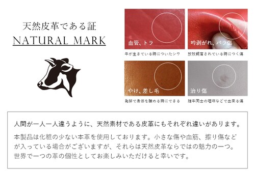 �yALOE(�O���[��)�z �X�k�[�s�[ �C�^���A�� ���U�[ �����z �{�v ���z ���K���� ���K ���D ���D���� ���f�B�[�X �����Y �L�����N�^�[ ������� ���킢�� �v���[���g�y������s�z_6