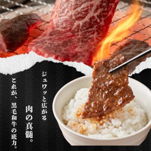 A5�����y���јa���z���I�J���r �q1kg�i250g�~4p�j�r A5 �ē� �J���r ���� �a�� ���јa�� �Z�b�g �󏭕��� ��y������s�z_1