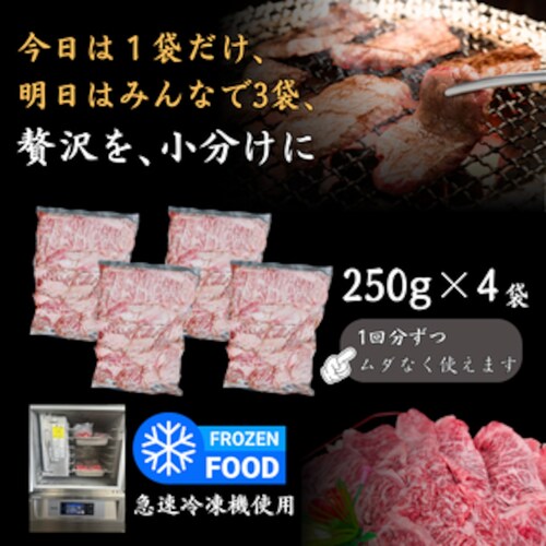 A5�����y���јa���z���I�J���r �q1kg�i250g�~4p�j�r A5 �ē� �J���r ���� �a�� ���јa�� �Z�b�g �󏭕��� ��y������s�z_3