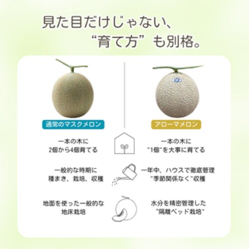 �y�R���z�É��}�X�N�������i�A���[�}�������j1�� 1.8kg�q���ϔ��t�r�@������ �}�X�N������ �A���[�}������ �M�t�g �����y������s�z_3