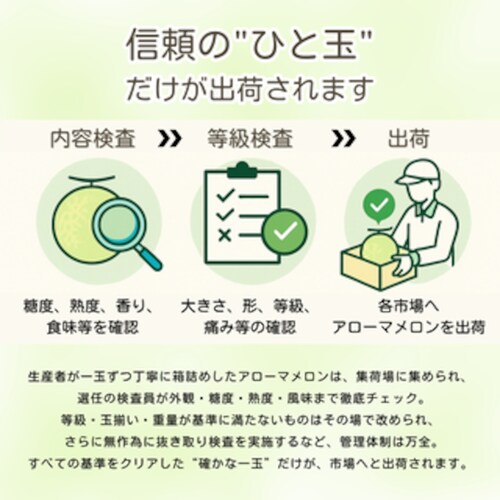 �y�R���z�É��}�X�N�������i�A���[�}�������j1�� 1.8kg�q���ϔ��t�r�@������ �}�X�N������ �A���[�}������ �M�t�g �����y������s�z_4