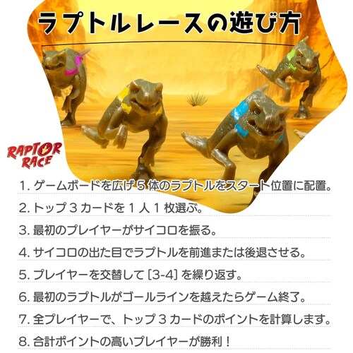 �t���L�V�b�N(FlexiQ) �������� �{�[�h�Q�[�� ���v�g�� ���[�X_2