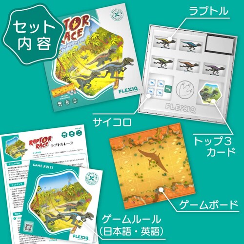 �t���L�V�b�N(FlexiQ) �������� �{�[�h�Q�[�� ���v�g�� ���[�X_7