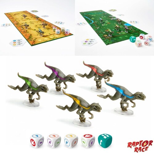 �t���L�V�b�N(FlexiQ) �������� �{�[�h�Q�[�� ���v�g�� ���[�X_8