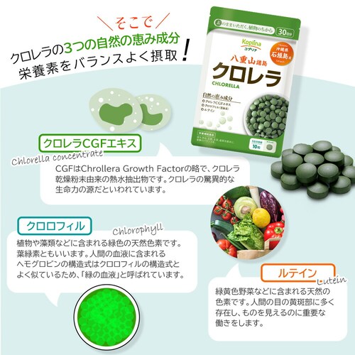 �R�v���i �N������ ���ꌧ�Ί_���Y 300�� 30����_6