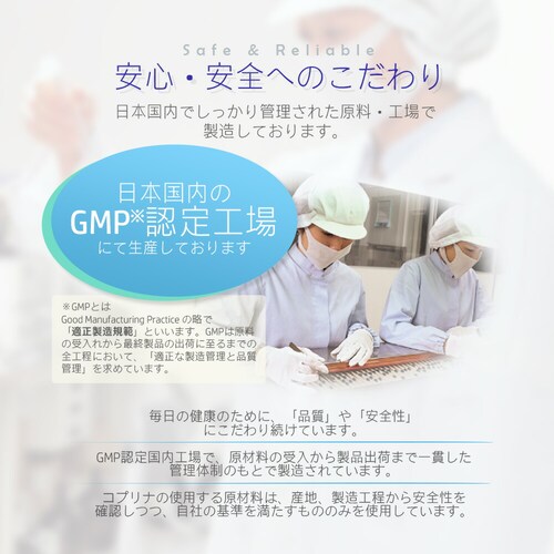 �R�v���i �N������ ���ꌧ�Ί_���Y 300�� 30����_7