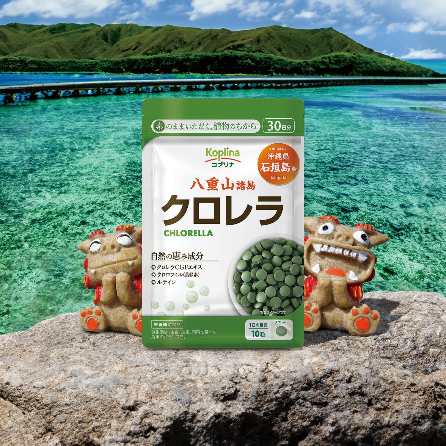 コプリナ クロレラ 沖縄県石垣島産 300粒 30日分 SE1000474 │アイリス