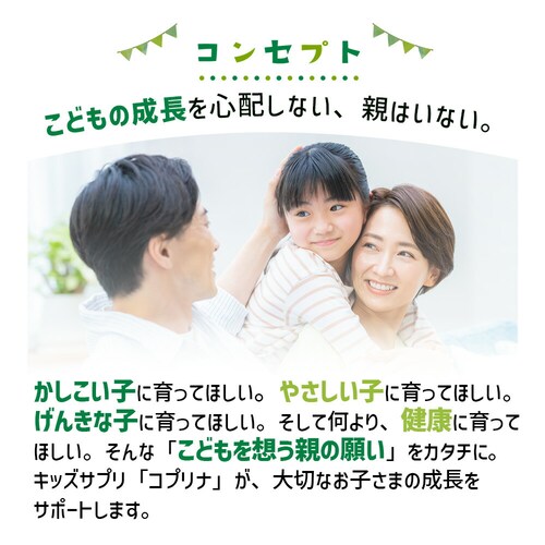 �R�v���i �L�b�Y�u���[�x���[&���e�C�� 60�� 30����_4