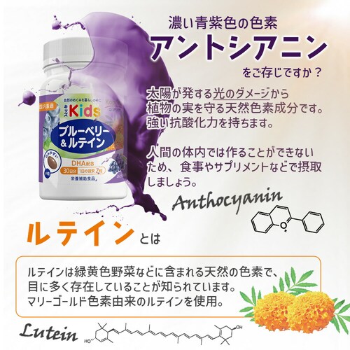 �R�v���i �L�b�Y�u���[�x���[&���e�C�� 60�� 30����_6