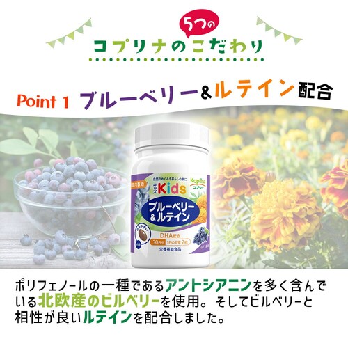 �R�v���i �L�b�Y�u���[�x���[&���e�C�� 60�� 30����_7