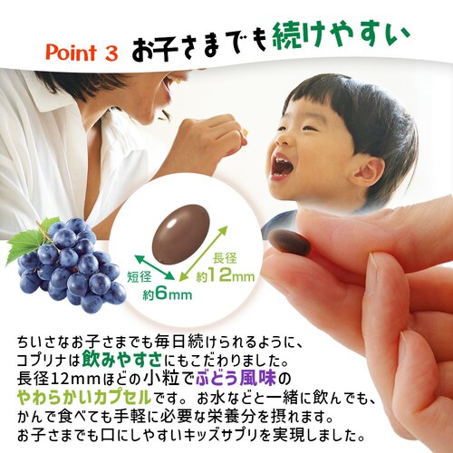 �R�v���i �L�b�Y�u���[�x���[&���e�C�� 60�� 30����_9