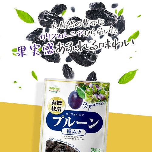 �R�v���i �L�@�v���[�� �픲�� 135g_2