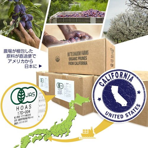 �R�v���i �L�@�v���[�� �픲�� 135g_5