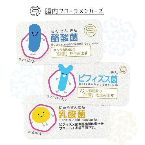 �R�v���i �������藏�_�� 90�� 3�Z�b�g90�����y������s�z_6