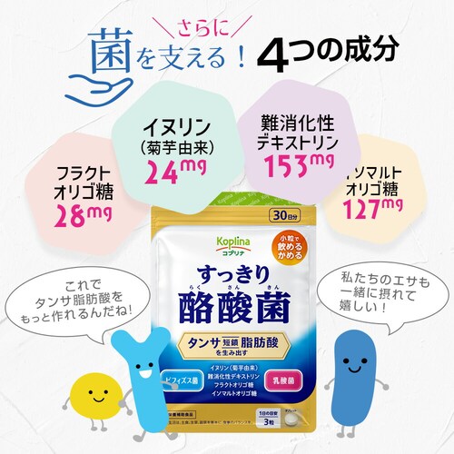 �R�v���i �������藏�_�� 90�� 3�Z�b�g90�����y������s�z_7