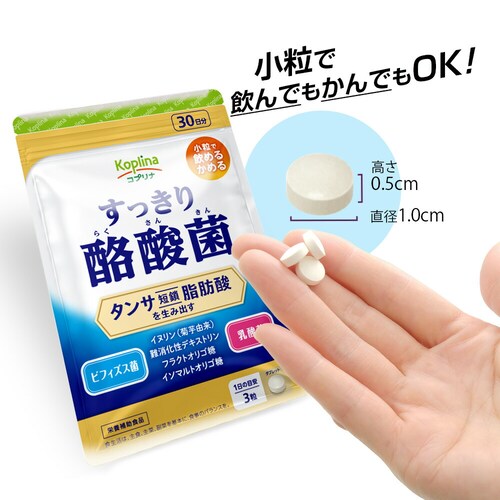 �R�v���i �������藏�_�� 90�� 3�Z�b�g90�����y������s�z_11