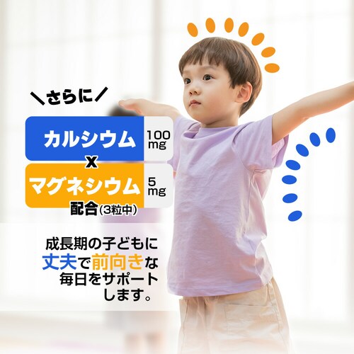 �R�v���i �O�~�T�v�� �S&�J���V�E�� 60�� 20�����i�p�C�i�b�v�����j_13