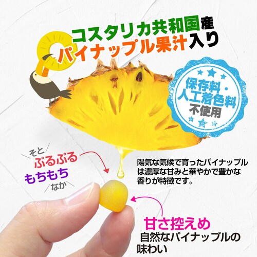 �R�v���i �O�~�T�v�� �S&�J���V�E�� 60�� 20�����i�p�C�i�b�v�����j_23