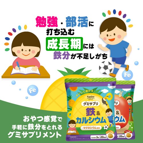 �R�v���i �O�~�T�v�� �S&�J���V�E�� 60�� 20�����i�p�C�i�b�v�����j_33