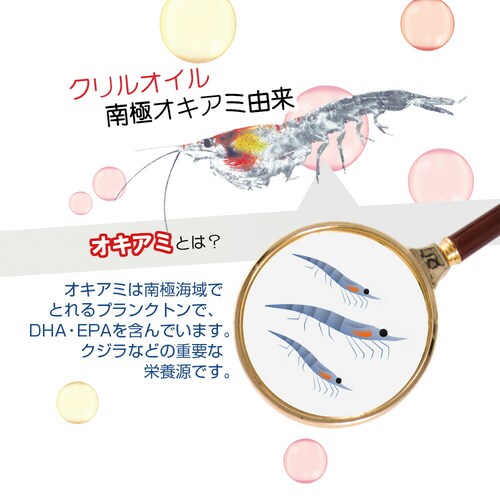 �R�v���i DHA��EPA �N�����I�C�� 30�� 30����_8