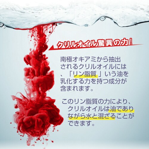 �R�v���i DHA��EPA �N�����I�C�� 30�� 30����_9