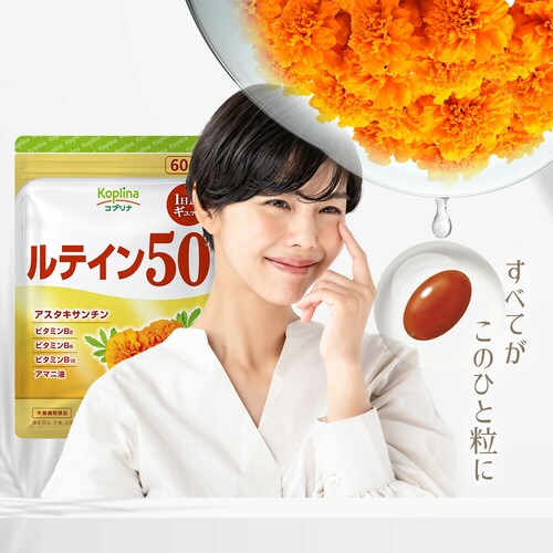 �R�v���i ���e�C��50 60�� 60����_2