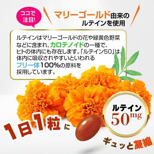 �R�v���i ���e�C��50 60�� 60����_5