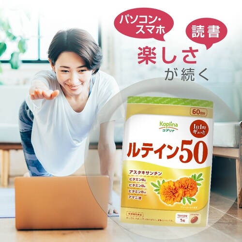 �R�v���i ���e�C��50 60�� 60����_6