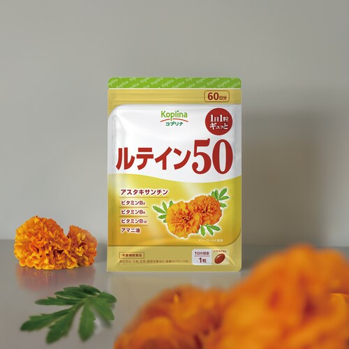 �R�v���i ���e�C��50 60�� 60����_11