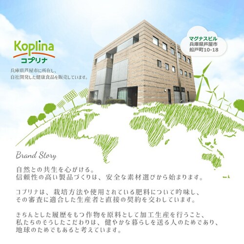 �R�v���i ���e�C��50 60�� 60����_12