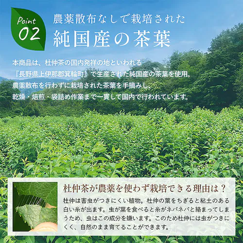 長野産杜仲茶葉100% 純国産 杜仲茶 ティーバッグ 農薬無散布 ノンカフェイン 健康茶 お徳用 3g×50包×2袋_5