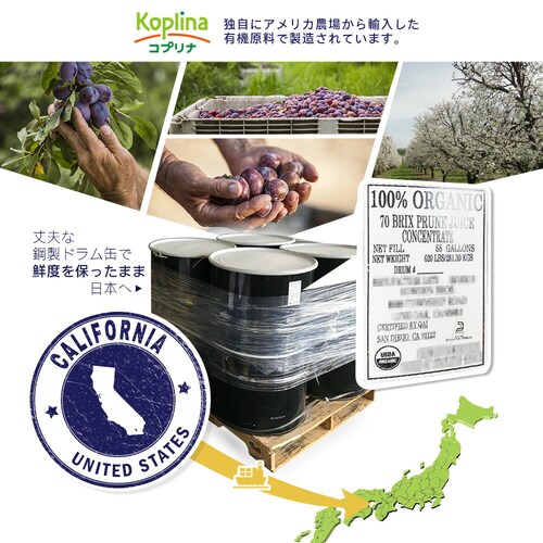 �R�v���i �L�@�v���[���G�L�X 280g_5