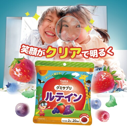 �R�v���i �O�~�T�v�� ���e�C�� 40�� 1��20����_2