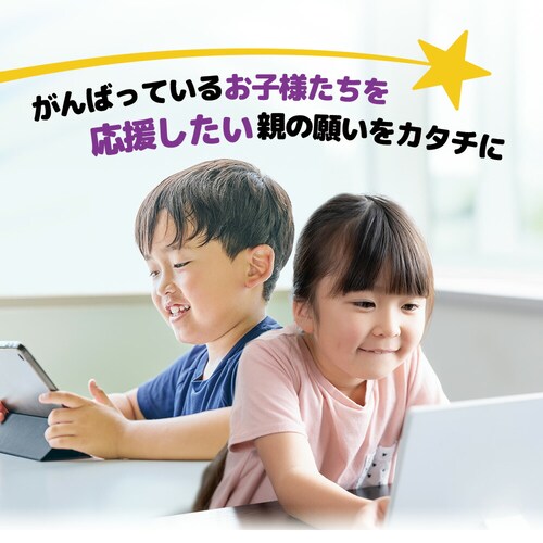 �R�v���i �O�~�T�v�� ���e�C�� 40�� 1��20����_4