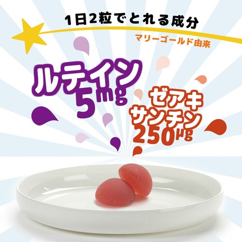 �R�v���i �O�~�T�v�� ���e�C�� 40�� 1��20����_6