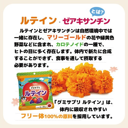 �R�v���i �O�~�T�v�� ���e�C�� 40�� 1��20����_7