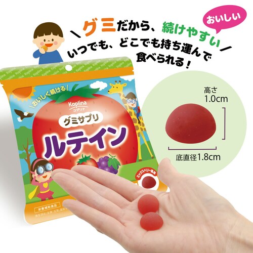 �R�v���i �O�~�T�v�� ���e�C�� 40�� 1��20����_9