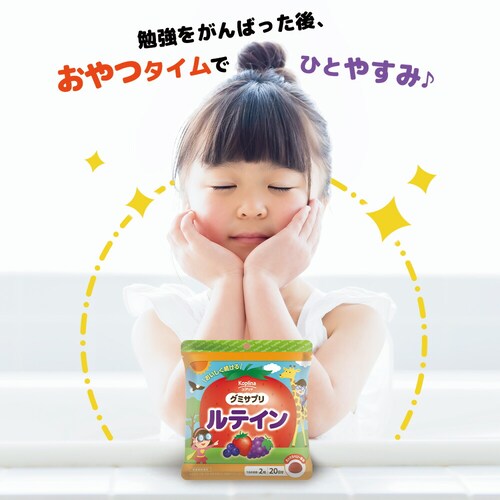 �R�v���i �O�~�T�v�� ���e�C�� 40�� 1��20����_10