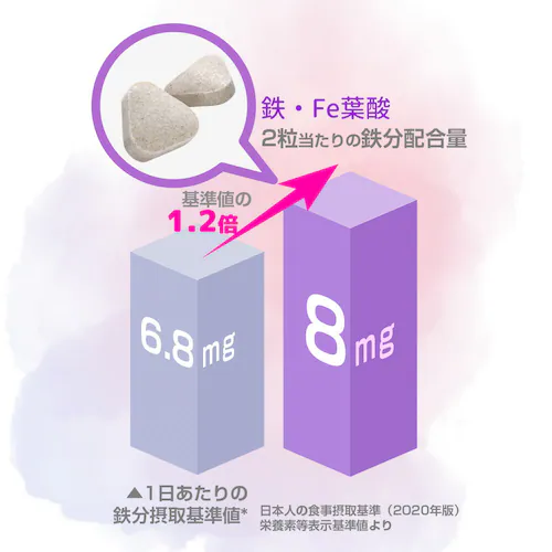 �R�v���i �S�EFe���t�_ 240�� 120����_5