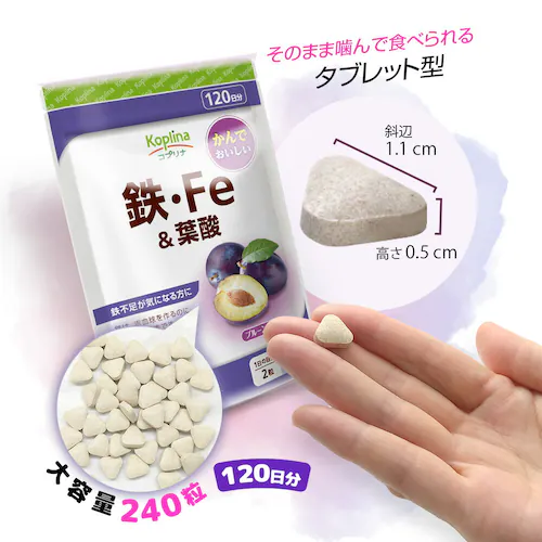 �R�v���i �S�EFe���t�_ 240�� 120����_9